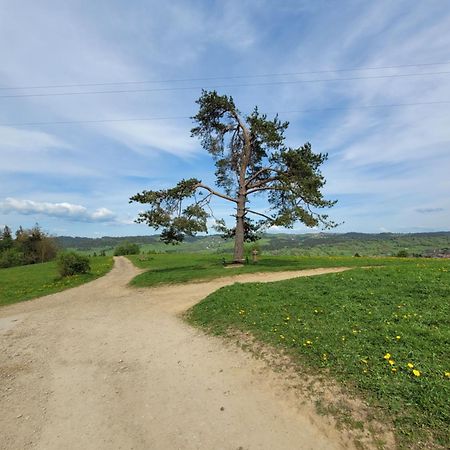Pokoje U Julki Bukowina Tatrzańska Exterior foto
