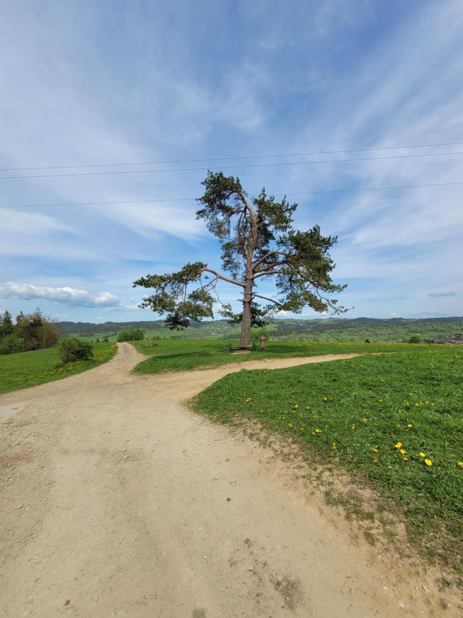 Pokoje U Julki Bukowina Tatrzańska Exterior foto