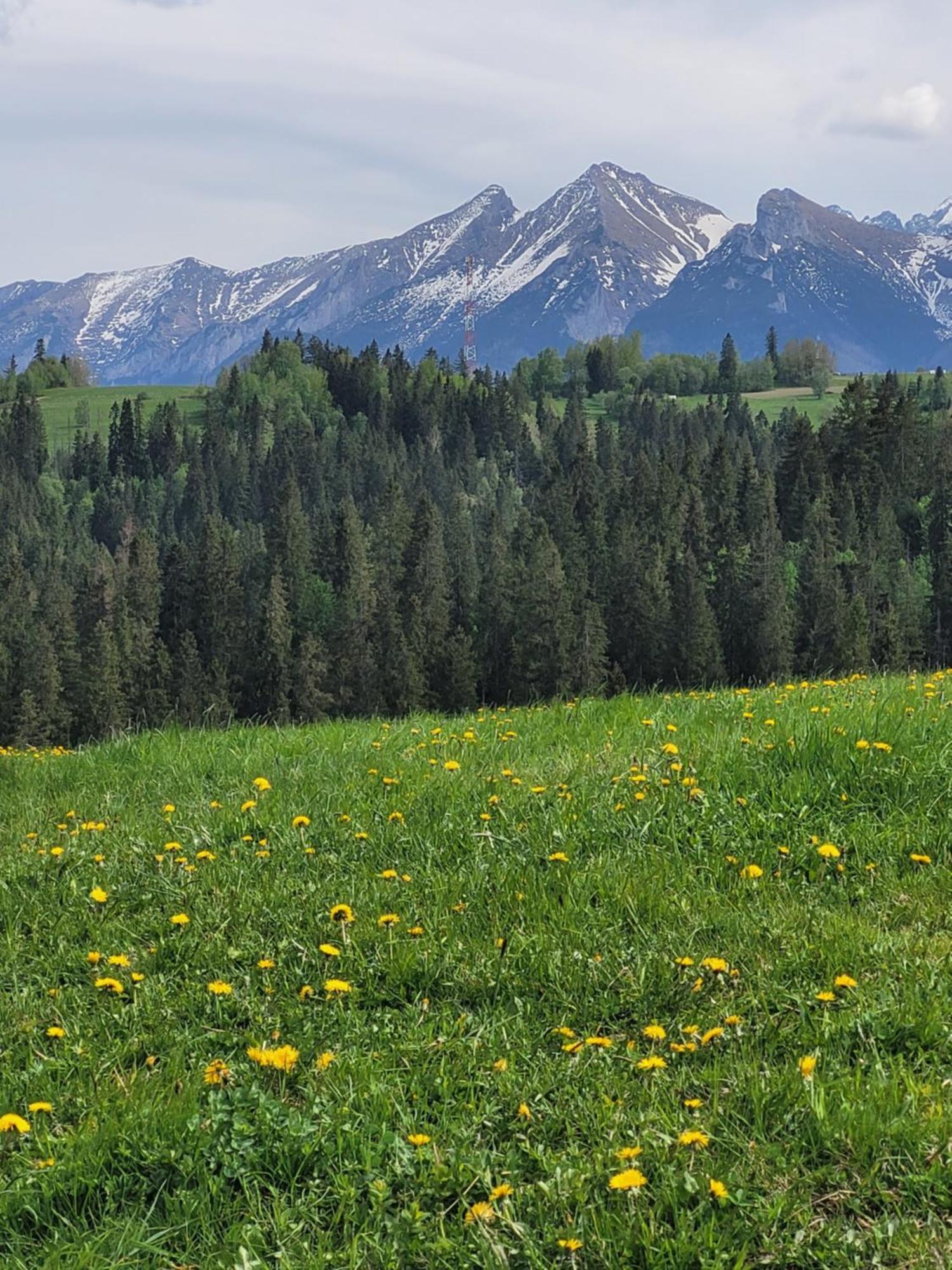 Pokoje U Julki Bukowina Tatrzańska Exterior foto